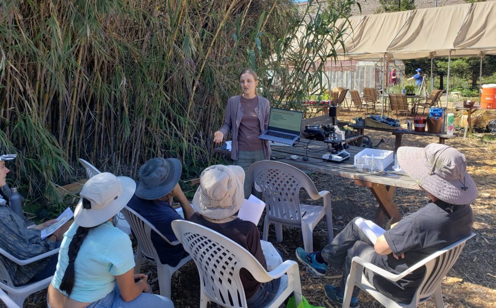 Giving a short introduction into the Soil Food Web