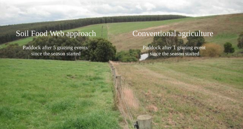 Soil Food Web approach vs Conventional Agriculture